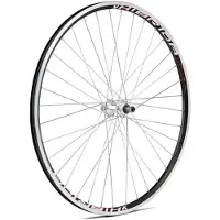 Gurpil Xm-1 6-7s 29´´ Tubeless Mtb Takapyörä