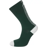 Altura Icon 2022 Socks Vihreä EU 36-39 Mies