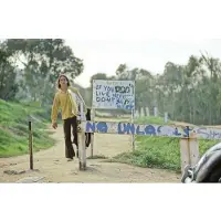 Divine Locals Only Sunset Cliffs 70´s Juliste