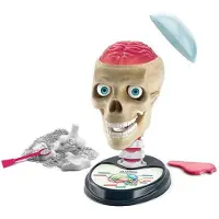 Clementoni Anatomian Lautapeli