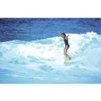 Divine Jericho Poppler Haleiwa 1979 Juliste