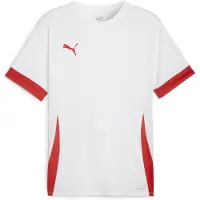 Puma Toiminnallinen paita 'TeamGoal Matchday' punainen / valkoinen