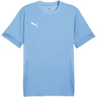 Puma Toiminnallinen paita 'TeamGoal Matchday' taivaansininen / valkoinen