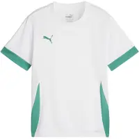 Puma Teamgoal Matchday Jersey Jr White-sport Green-sport Green, koko 152 cm
