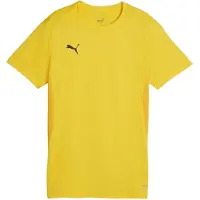Puma Toiminnallinen paita 'Team Goal' keltainen