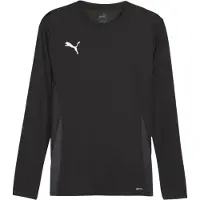 Puma Toiminnallinen paita 'teamGOAL' tummanharmaa / musta / valkoinen
