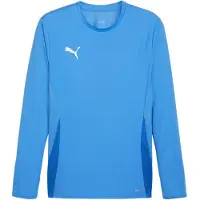 Puma Toiminnallinen paita 'TeamGoal' sininen / taivaansininen / valkoinen