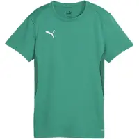 Puma Teamgoal Jersey Wmn Sport Green-White, koko Large