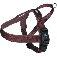 Nobby BRACES CLASSIC PRENO L BROWN 60-76cm 25/35