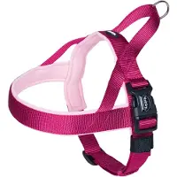 Nobby Classic Preno S/m koiranvaljaat, 25mm, 38-50cm, vadelma