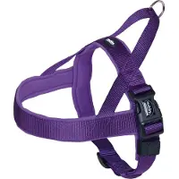 Nobby Classic Preno S/m koiranpannat, 25mm/38-50cm, violetti