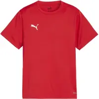 Puma Toiminnallinen paita 'TeamGoal' punainen / valkoinen