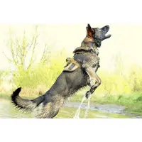 K9 Thorn Delta Dog Harness (Color: Coyote, Size: Medium)
