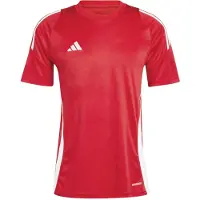 Adidas Tiro24 Lyhythihainen T-paita