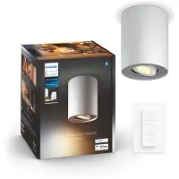 Philips HUE PILLAR SINGLE SPOT WHITE 1X5W 230V (929003046701)