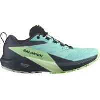 Salomon Sense Ride 5 Gore-tex Polkujuoksukengät