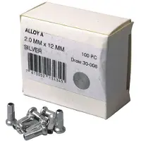 Dt Swiss Silver nippeli 2.0 x 12 mm 1 kpl