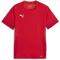 Puma Treenipaita Teamgoal - Punainen/valkoinen Lapset, koko 116 cm