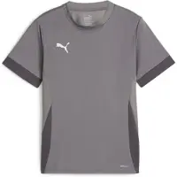 Puma Treenipaita Teamgoal - Harmaa/valkoinen Lapset, koko 152 cm