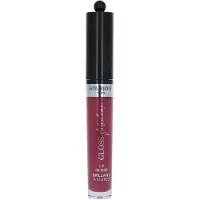 Bourjois Gloss - - 3.5 Ml - 08 Berry Talented - Huulikiilto - Värinä Ruusu