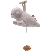 Jollein Soittorasia, Deepsea Seal