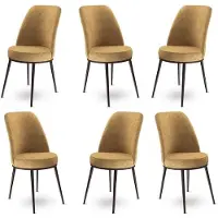 Atelier Del Sofa 6 tuolin setti Dexa, beige/ruskea