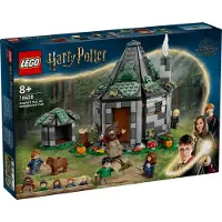 LEGO Harry Potter TM 76428 Hagridin mökki: Odottamaton vierailu