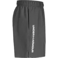 Under Armour Woven Wordmark Shortsit