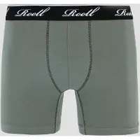 REELL Trunks Bokserit grey green Koko L