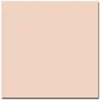 Colorama Tausta Oyster 1,35x11m