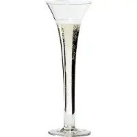 Riedel Sommelier Sparkling Wine -viinilasi
