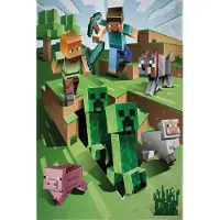 Minecraft Lasten fleecepeitto , 100x150 cm