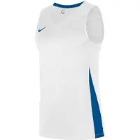 Nike Toiminnallinen paita 'Team Stock 20' sininen / valkoinen