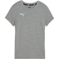 Puma Toiminnallinen paita 'TeamGOAL' harmaa / valkoinen