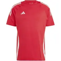 Adidas Tiro24 Sweat Lyhythihainen T-paita
