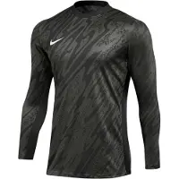 Nike Maalivahdin Paita Dri-fit Gardien V L/s - Harmaa/musta/valkoinen, koko Small