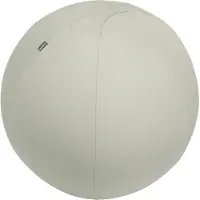 Leitz Ergo, aktiivipallo lisäpainolla, 75cm, vaaleaharmaa