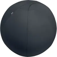 Leitz Ergo, aktiivipallo lisäpainolla, 75cm, tummanharmaa