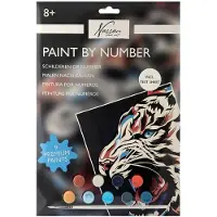 Nassau Paint by Number Tiger - incl. 9 Paint Pots and Brush