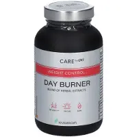 QNT Rasvanpolttaja Day Burner 90v Yksiköitä Hoito Kreatiini Monohydraatti