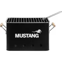 Mustang Charcoal Grill Party