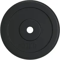 vidaXL Paino, 20 kg, valurauta