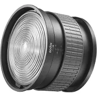 Godox Fresnel FLS 10