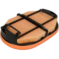 MANN-FILTER Toissijainen ilmansuodatin CF 2125