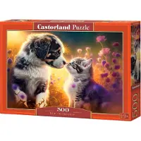 Castorland New Friendship 500p palapeli