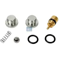 DT Spare Parts Korjaussarja, kippaussylinteri 2.97119