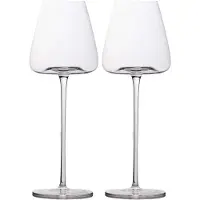Intirilife 500ml viinilasisetti