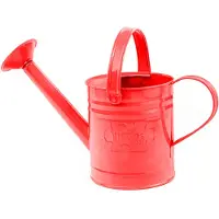 Bigjigs Red Metal Watering Can