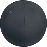 Leitz Exercise ball tummanharmaa
