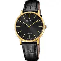 Festina Swiss Made F20016/3